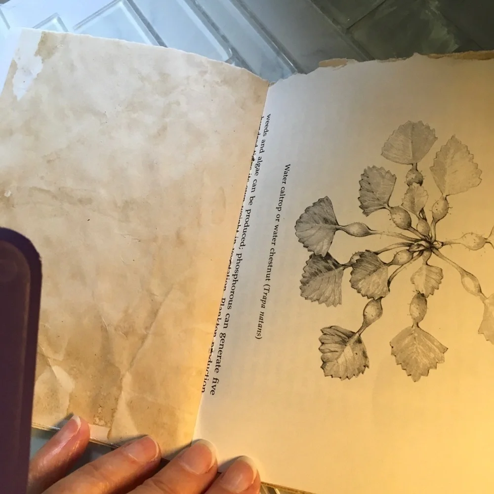 Handmade Journal 5x6 50 Pages Ephemera